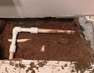 城北测漏水哪家好