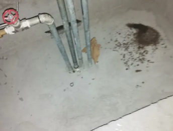 城北卫生间测漏水价格明细